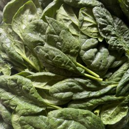 Épinard 250grs France