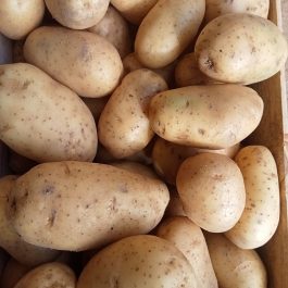 Pomme de terre (Frites) France