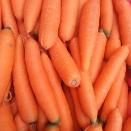 Carotte Portugal