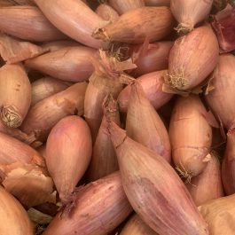 Échalion 250grs France