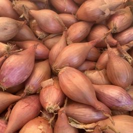 Échalote 250grs France