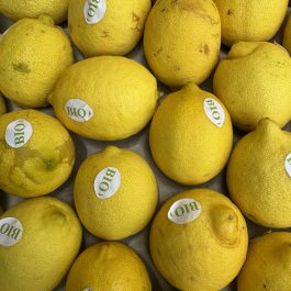 Citron BIO Espagne (3 pièces)