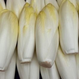 Endives France