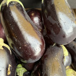 Aubergine Espagne