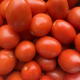 Tomate Allongée "Roma" Espagne