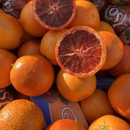 Orange Torocco Italie