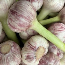 Ail Frais 200grs Egypte