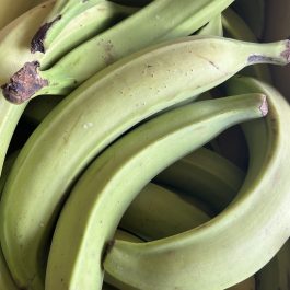 Banane Plantain Equateur