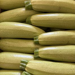 Courgette blanche Espagne