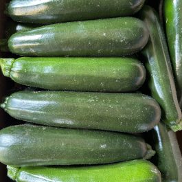 Courgette verte France