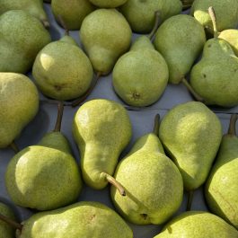 Poire William's Argentine