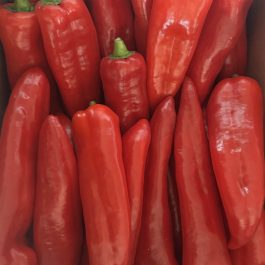 Poivron rouge long Maroc