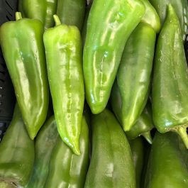 Poivron long vert Maroc