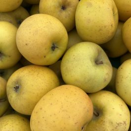 Pomme Chantecler France